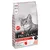 Purina Pro Plan Original Adult, 1+, OptiSenses, riche en saumon. Widoczny kot i oznaczenia: isfm, no added, high quality salmon N°1 ingredient, new OptiSenses.