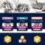 EUKANUBA pâtée pour chats : chatons 1–12 mois, adultes 1–7 ans, senior à partir de 7 ans. Trois boîtes visibles avec photos de chats et pictogrammes poulet, agneau, bœuf.