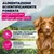 Eukanuba Special Care Adult Mono-Protein con Agnello Eukanuba Special Care Adult Mono-Protein con Agnello