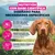 Eukanuba Special Care Mono-Protein Adult Cordero