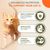 IAMS Advanced Nutrition Grain Free s morskými rybami