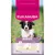 Eukanuba Premium Voeding Puppy Middelgroot Ras Kip - 3 kg Eukanuba Premium Voeding Puppy Middelgroot Ras Kip - 3 kg