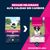 Eukanuba Premium Nutrition Puppy Medium Breed pollo