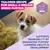 Eukanuba Premium Nutrition Puppy Small & Medium Breed Lam & Ris
