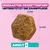 Eukanuba Premium Nutrition Adult Small Breed piščanec