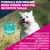 Eukanuba Premium Nutrition Adult Small Breed au poulet