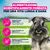 Eukanuba Premium Nutrition Adult Small Breed Pollo