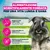 Eukanuba Premium Nutrition Adult Small Breed Pollo