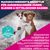 Eukanuba Premium Nutrition Adult Small & Medium Breed Lamm & Reis