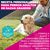 Eukanuba Premium Nutrition Adult Large & Giant Breed cordero y arroz