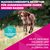 Eukanuba Premium Nutrition Adult Large & Giant Breed Lachs