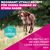Eukanuba Premium Nutrition Adult Large & Giant Breed Salmon