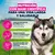 Eukanuba Premium Nutrition Adult Large & Giant Breed salmón