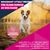 Eukanuba Premium Nutrition Senior Small Breed Chicken