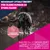 Eukanuba Premium Nutrition Senior Large & Giant Breed Chicken