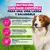 Eukanuba Premium Nutrition Senior Small & Medium Breed cordero y arroz