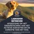 Labrador Retriever. Afgestemd op het actieve karakter en de conditie van het ras. Ook geschikt voor Flat Coated Retrievers, Portugese Waterhonden en Italiaanse Spinone.