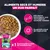 Eukanuba Adulte S-XL Riche en truite avec patate douce, combinaison de croquettes et de nourriture humide. 1 boîte équivaut à 100 g de croquettes. Différentes textures et saveurs. Eukanuba Adulte S-XL Riche en truite avec patate douce, combinaison de croquettes et de nourriture humide. 1 boîte équivaut à 100 g de croquettes. Différentes textures et saveurs.