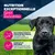 Eukanuba Adult Riche en dinde et carottes