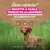 Eukanuba Grain Free Senior Large & Giant Poisson de mer
