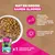 Eukanuba Grain Free Adult Wild