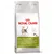Bag labelled Royal Canin Outdoor 30, for active cats with frequent outdoor access. Highlights activity support, strengthened natural defences, and healthy bones and joints.