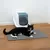 Caja de arena cerrada para gatos con alfombrilla gris delante, sobre la que descansa un gato blanco y negro. Se muestra el uso de la alfombrilla para la limpieza alrededor de la caja.