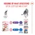 Royal Canin FHN Kitten Sterilised in Gelei Royal Canin FHN Kitten Sterilised in Gelei