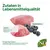 Zutaten in Lebensmittelqualität: Lamm aus Weidehaltung Neuseeland, Heidelbeere. Hochwertige Proteine für eine ausgewogene Mahlzeit. N&D Prime. Zutaten in Lebensmittelqualität: Lamm aus Weidehaltung Neuseeland, Heidelbeere. Hochwertige Proteine für eine ausgewogene Mahlzeit. N&D Prime.