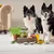 Two dogs beside Forthglade chicken with duck treats, surrounded by fresh ingredients including herbs, sweet potato, oil bottles and powders, showing product use and ingredient highlights.