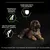 Promotes healthy growth, helps support healthy joints, enriched with colostrum to help support the immune response by up to 50 percent more. Image shows a puppy and product benefits.