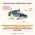 Almo Nature HFC Adult Sterilized con salmón