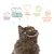 Reines Futter, perfektes Eiweiss-Fett-Verhältnis, Tierschutz, bessere Welt, glückliche gesunde Katzen. Illustration mit Katze und Symbolen.