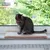 Chat tigré assis sur un coussin rectangulaire beige posé sur un rebord de fenêtre intérieur, devant une vitre avec vue sur jardin.