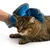 Hand mit blauem Pflegehandschuh streichelt eine Katze, zeigt Anwendung des Handschuhs zur Fellpflege.