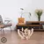 Mobile sospeso in legno per pet con tessuto beige, gatto sdraiato all'interno. Soggiorno moderno con mobili in legno e piante sullo sfondo.