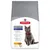 Hill's Science Plan Sterilised Cat Mature Adult 7+ Chicken, bild på grå katt och foderbitar. Text: viktkontroll, antioxidant, natrium för njurar. Synligt varumärke och produktnamn.
