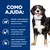Texto: Como ajuda: Nutrição comprovada para ajudar os cães a perderem peso em 2 meses. Promove a capacidade de caminhar, correr e saltar do seu cão. Ajuda a não recuperar o peso perdido.