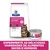 Hill's Prescription Diet Gastrointestinal Biome para gatos, embalagem de alimento seco e lata de alimento húmido. Texto: Experimente as deliciosas variedades de alimentos secos e húmidos.