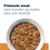 Hill's Prescription Diet k/d Kidney Care Ragout med kylling