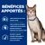 BÉNÉFICES APPORTÉS : aide à préserver une bonne fonction rénale, soutenir le microbiome intestinal et maintenir une bonne masse musculaire. Chat avec collier bleu visible à droite.