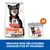 Hill’s Science Plan Perfect Digestion pour chien, croquettes et mousse en boîte, visuel d’un chien noir, mention Small & Mini jusqu’à 10 kg, texte : essayez nos délicieuses croquettes et mousses Hill’s Science Plan Perfect Digestion pour chien, croquettes et mousse en boîte, visuel d’un chien noir, mention Small & Mini jusqu’à 10 kg, texte : essayez nos délicieuses croquettes et mousses