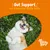 Gut Support for Premium Belly Rubs, Zesty Paws (text v angličtine)
