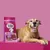 Bag of Barking Heads All Hounder Golden Years chicken complete pet food shown next to a dog wearing glasses and a pink toy ball on a pink background.