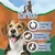 Barkoo. Zahnpflege: 1 x Tag. Kauknochen für mehr Spaß. Training & Belohnung. Texte en allemand sur l’entretien dentaire, le plaisir de mâcher et la récompense pour chien.