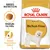 ROYAL CANIN ADULT Bichon Frise, granule na míru, zdraví močového ústrojí, obrázek psa Bichon Frise a tvaru granule na obalu.