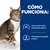 Gato junto a texto: 'CÓMO FUNCIONA: Favorece unos niveles de pH urinario óptimos (pH 5.9–6.1). Niveles bajos de magnesio y fósforo (Mg&P)'.