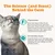 Zesty Paws Cat Calming Diffuser Refill Orchid Mist - 75g Zesty Paws Cat Calming Diffuser Refill Orchid Mist - 75g