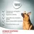 Concept for Life German Shepherd a partire dai 15 mesi. Protezione di cartilagine e articolazioni, digestione ottimale, salute della cute, misura crocchette, privo di frumento e soia.