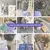 Several cats with BLINK! Tasty Chicken cat food. Text: Loved by cats, trusted by humans (literally).
